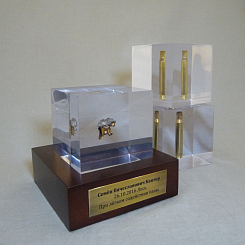 Памятные трофеи, залитые в акриловую массу - изображение 1